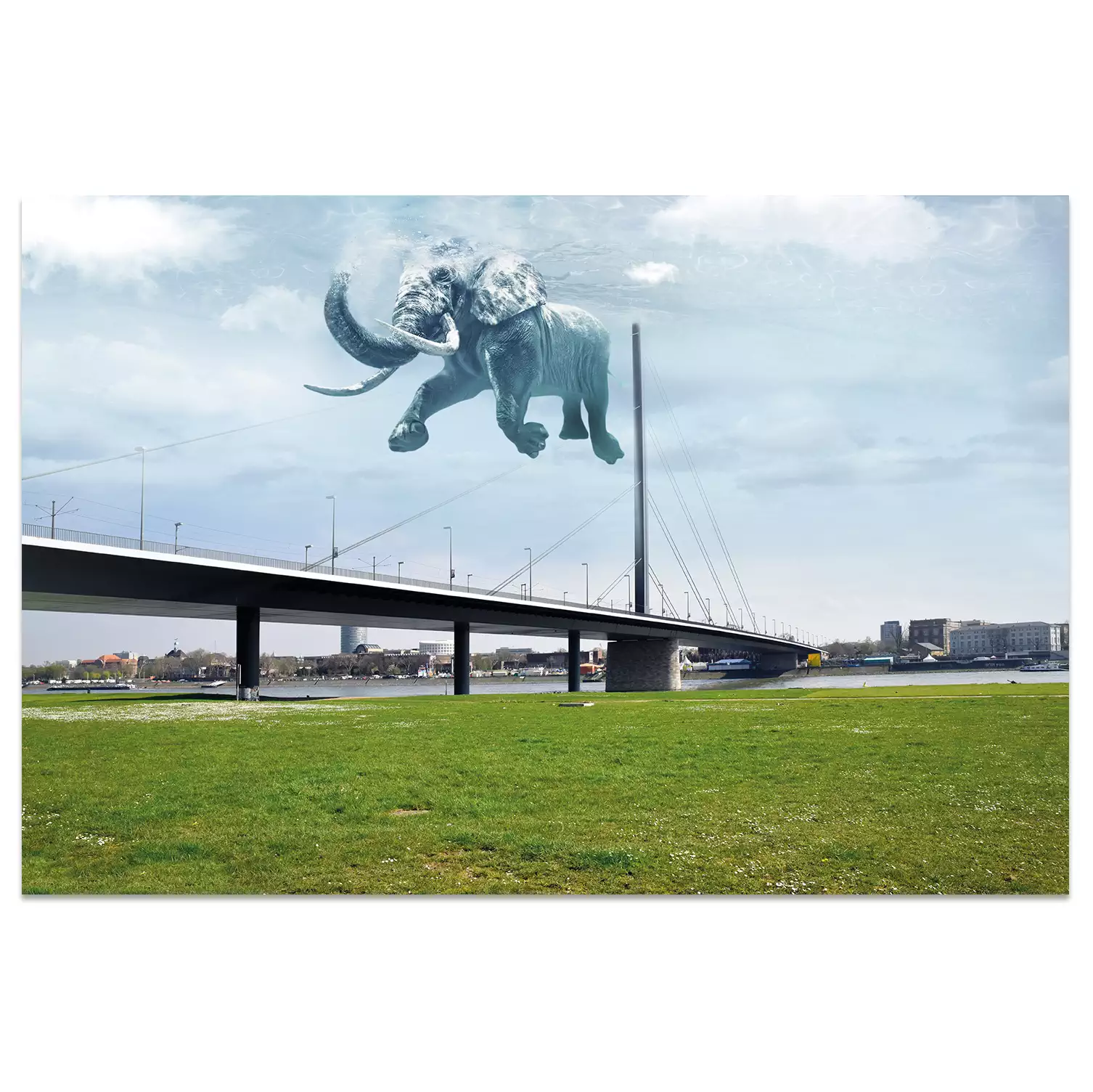 Ansichtskarte Düsseldorf "Traum"