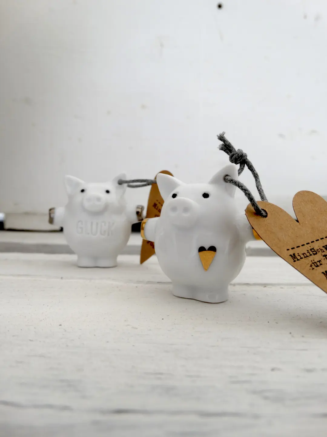 Mini Schweine. Glück.