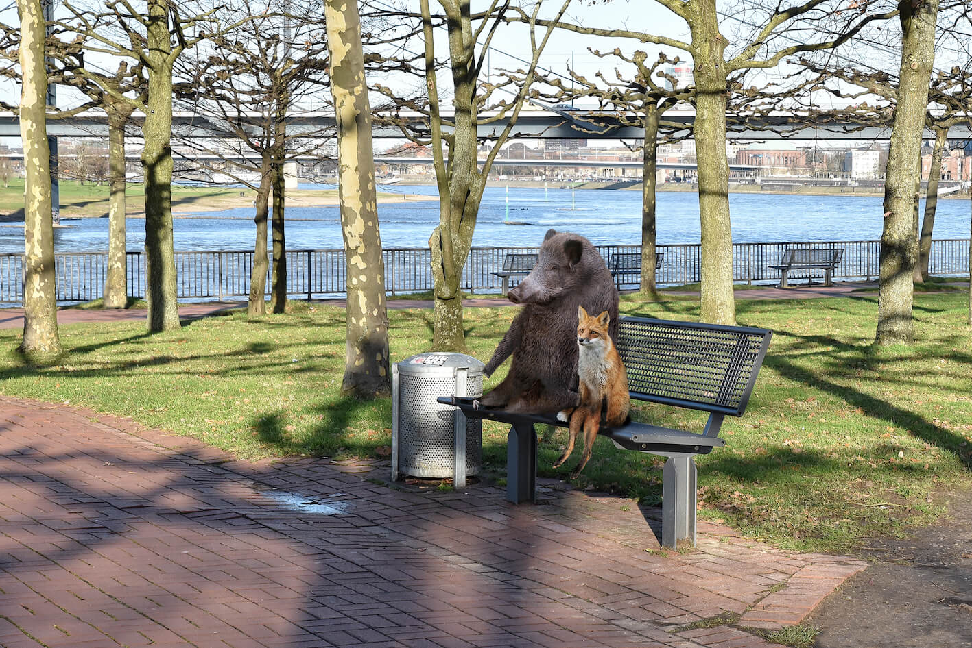 Wandbild "Wildschwein & Fuchs"