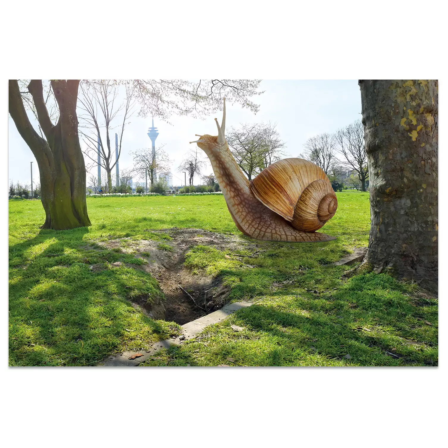 Ansichtskarte Düsseldorf "Schnecke"