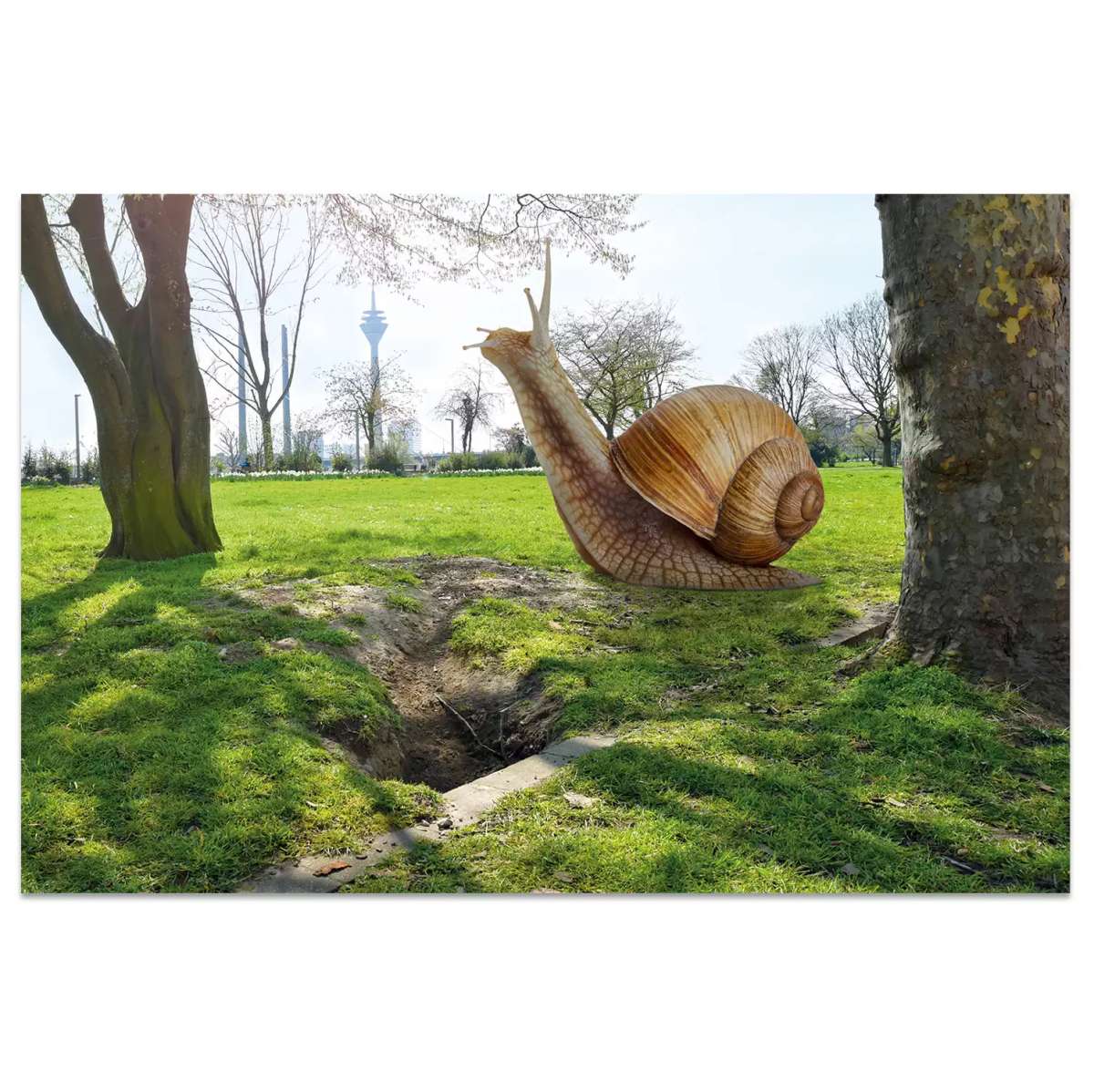 Wandbild "Schnecke"